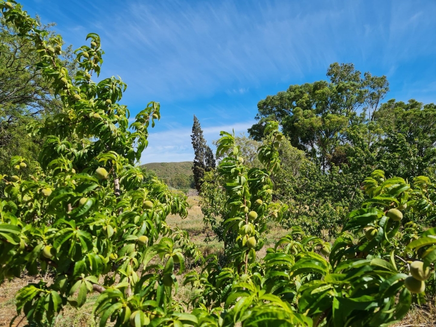 Commercial Property for Sale in Robertson Rural Western Cape